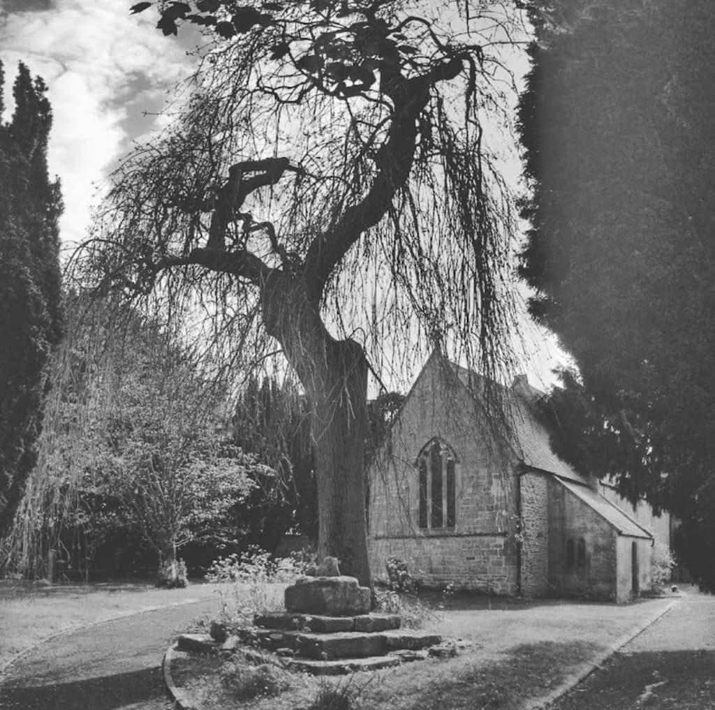 Archive photograph of Burmington churchyard, with a tree and the church beyond